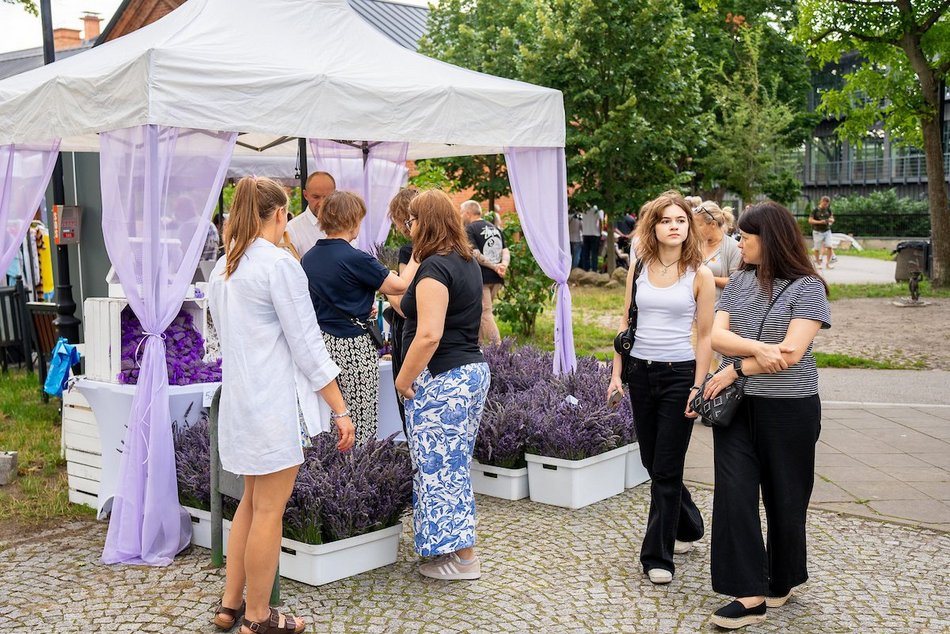 Łódź. Lipcowy targ staroci na Księżym Młynie. Miłośnicy rzeczy z duszą nie zawiedli