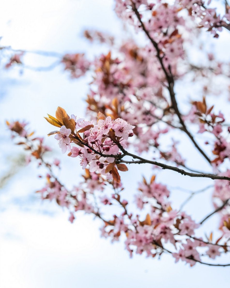 Setki nowych drzew i morze kwiatów w Łodzi. Na których osiedlach pojawią się nasadzenia?
