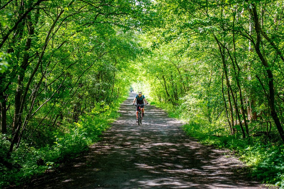 grupa ludzi spaceruje w naturze