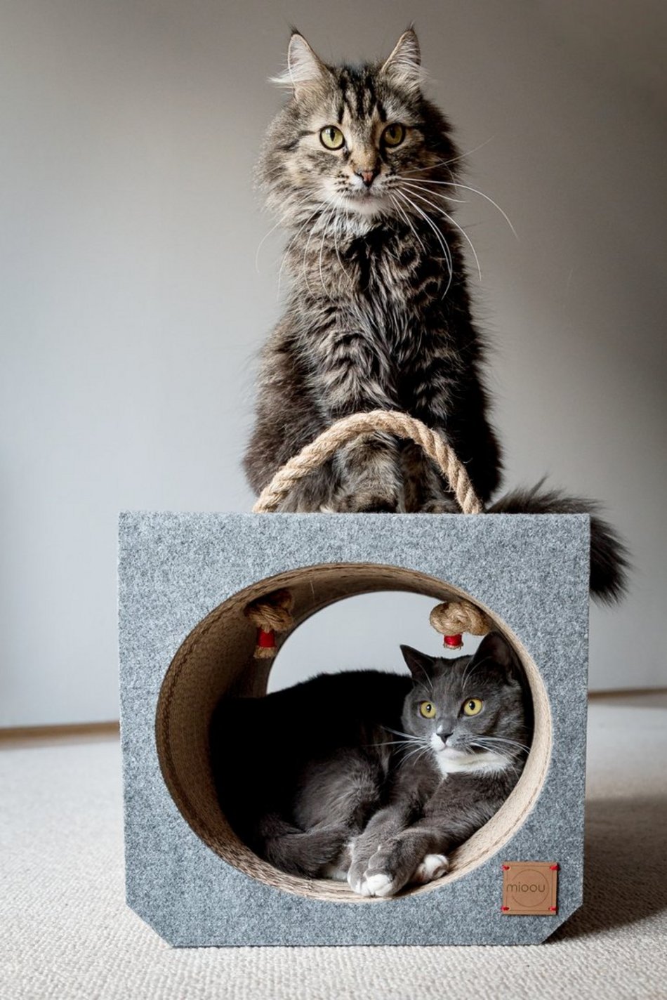 Drapaki dla kotów MIOOU powstają w Łodzi