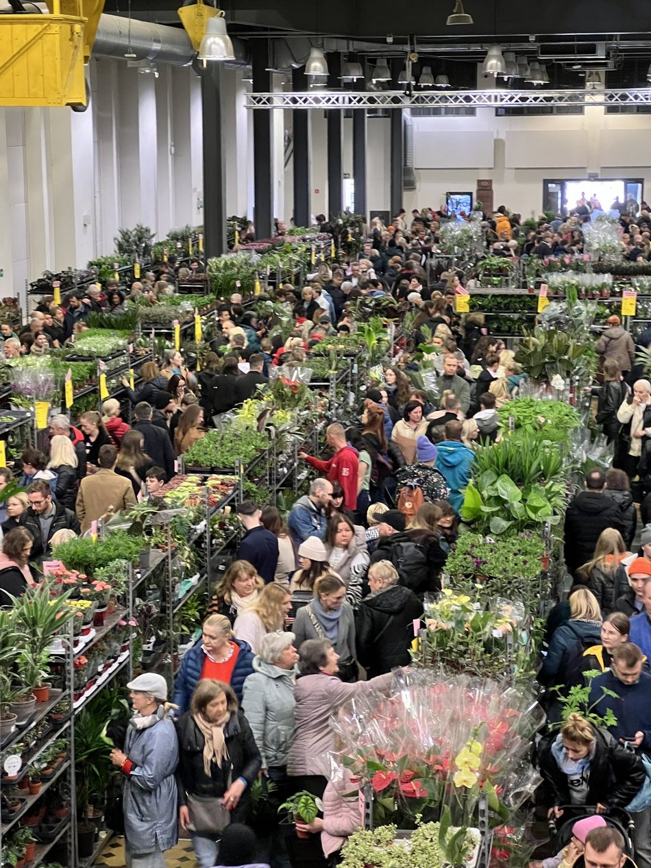 Festiwal Roślin w EC1 Łódź
