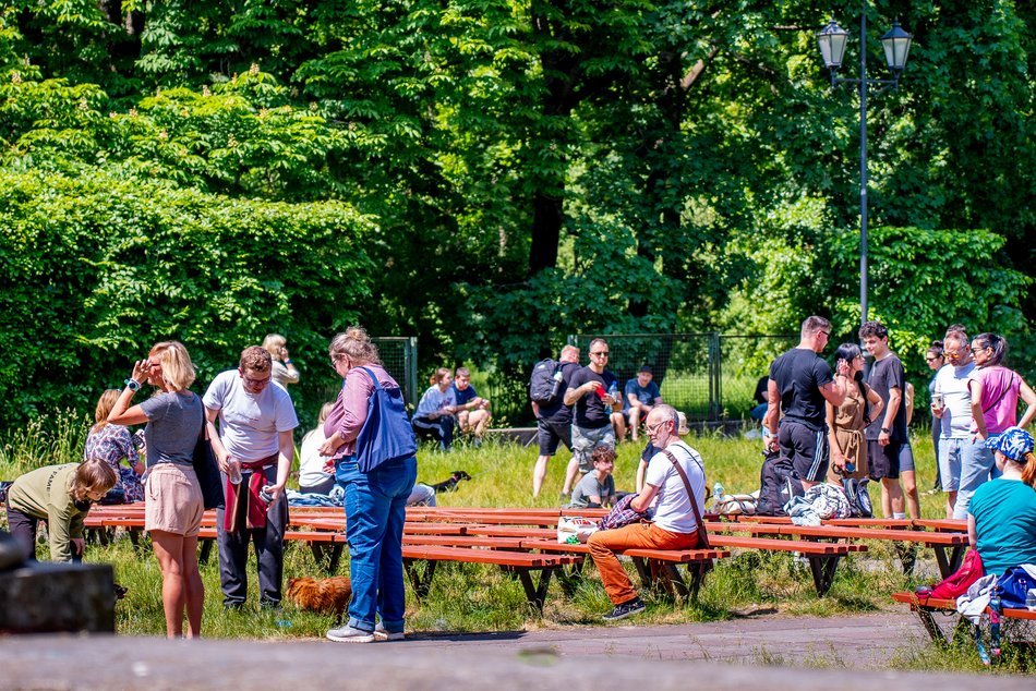Jamnikówka w parku Poniatowskiego
