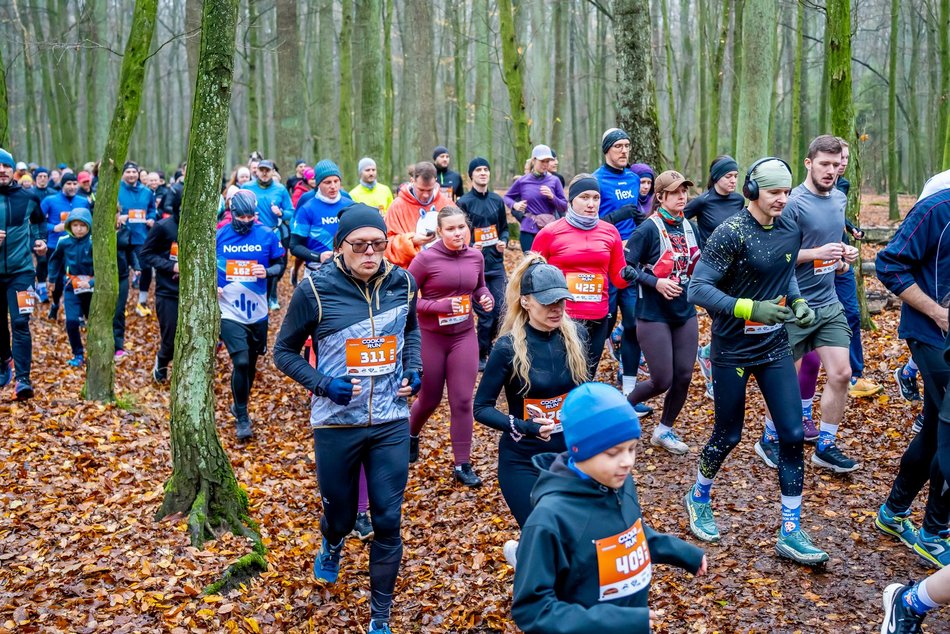 Cookie Run w Lesie Łagiewnickim w Łodzi