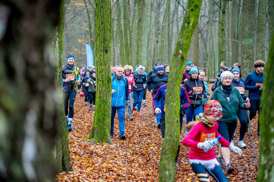 Cookie Run w Lesie Łagiewnickim w Łodzi