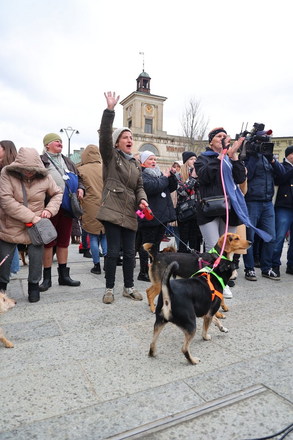 Parada Kundelków w Łodzi