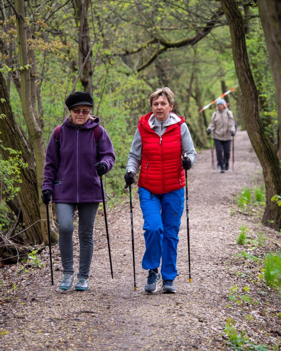 senirozy lodz nodic walking