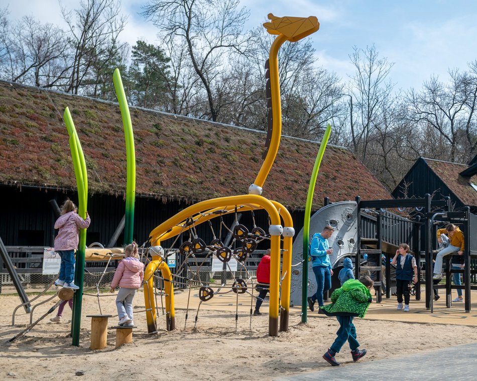 Łódź. Nowa żyrafa w Orientarium Zoo Łódź. Musisz ją poznać!