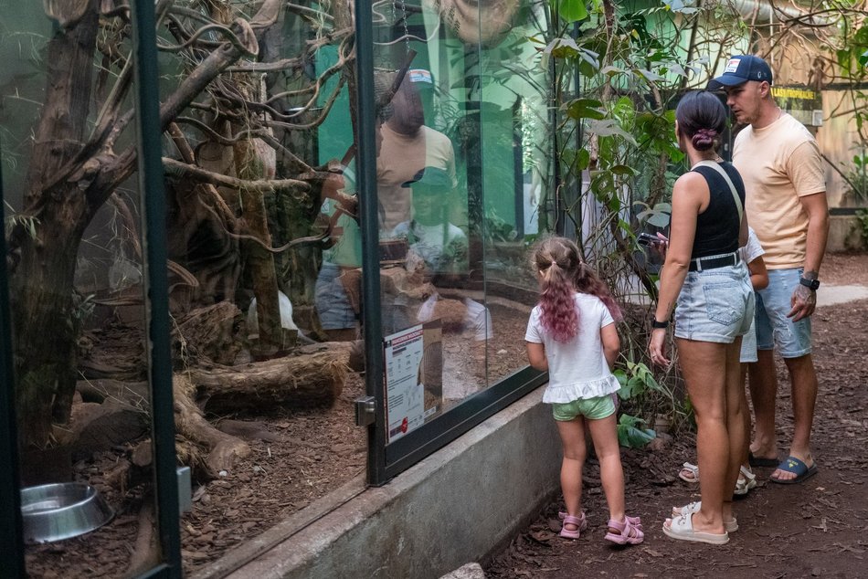 Łódź. Zielona Feta w Orientarium Zoo Łódź. Moc atrakcji na długi weekend