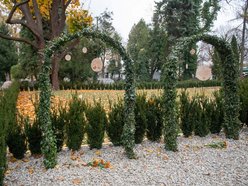 Łódź. Ekologiczne cmentarze w Łodzi. Z szacunkiem dla natury i pamięci