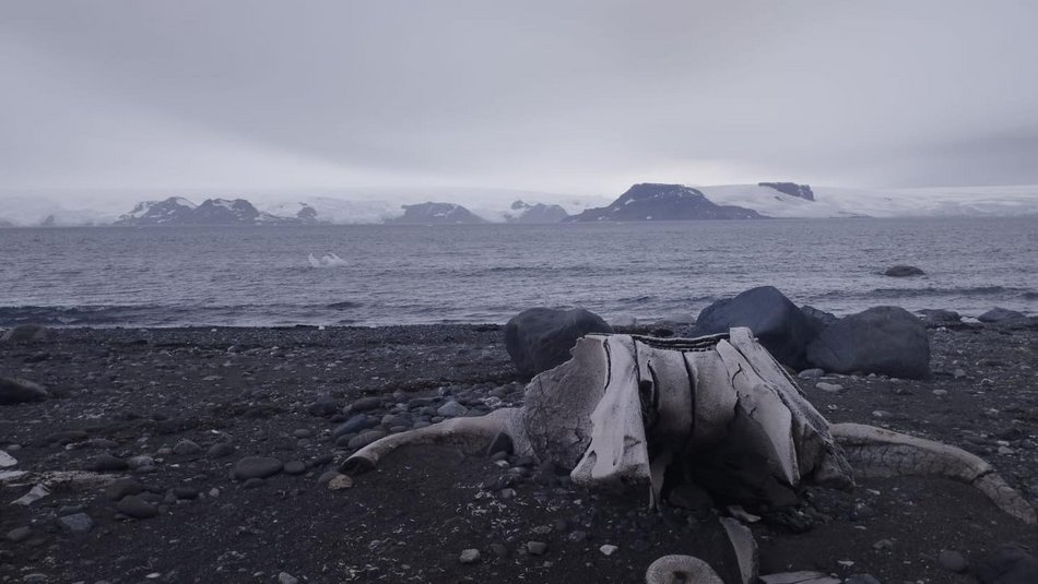 Łódź. O tym mówi cały świat! Naukowcy z Uniwersytetu Łódzkiego odkrywają tajemnicę sprzed 66 lat!