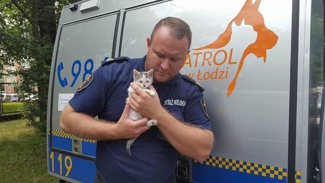 Superbohaterowie z Animal Patrol w Łodzi. Pomagają psom, kotom i... egzotycznym zwierzętom! [ZDJĘCIA]