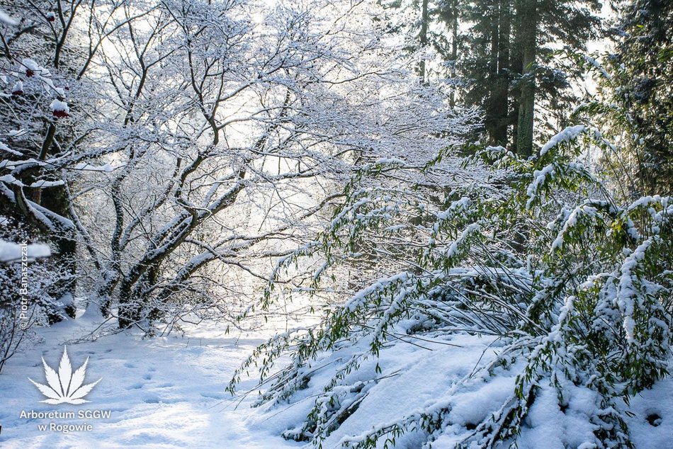 Łódź. Ferie 2026 w Łódzkiem