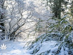 Łódź. Ferie 2026 w Łódzkiem