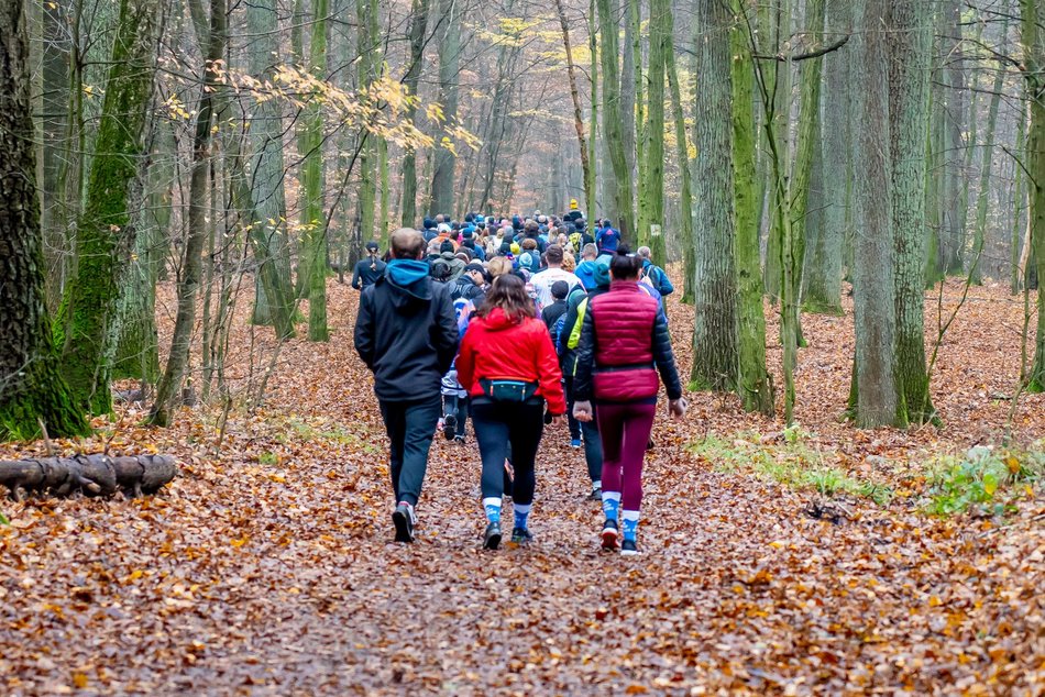 Cookie Run w Lesie Łagiewnickim w Łodzi