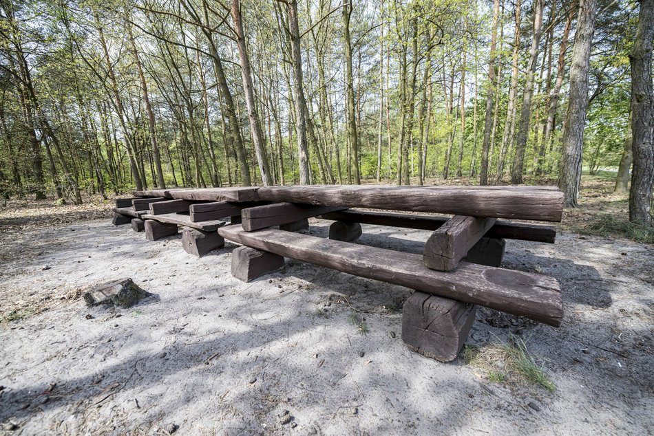 Łódź. Lublinek w Łodzi zmienia się nie do poznania. Właśnie powstało tam miejsce piknikowe