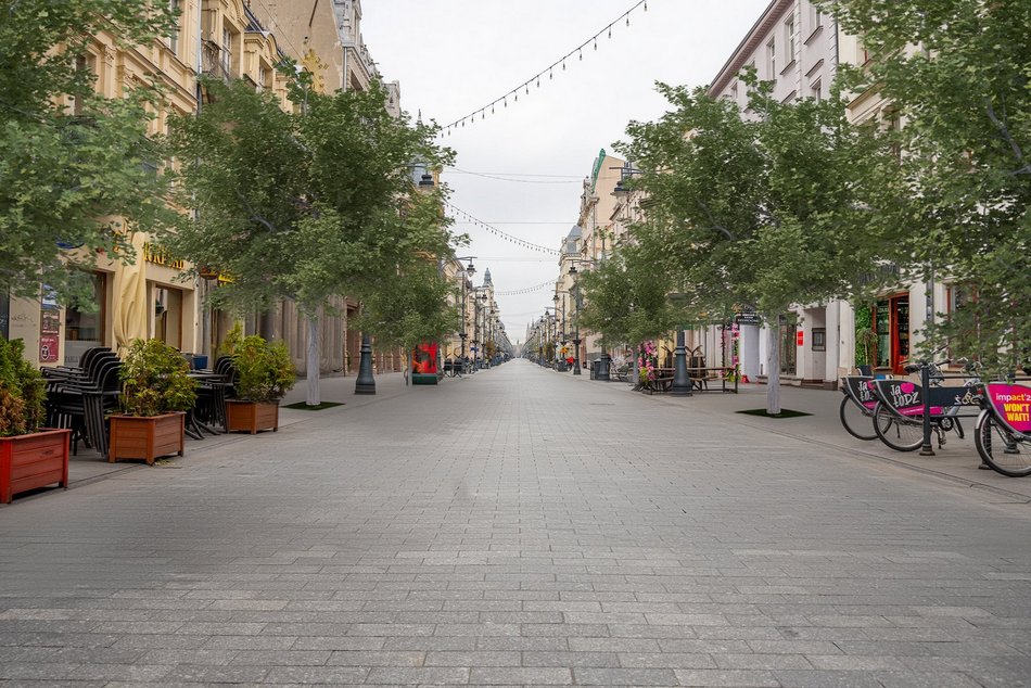 Nowe drzewa na Piotrkowskiej w Łodzi od placu Wolności