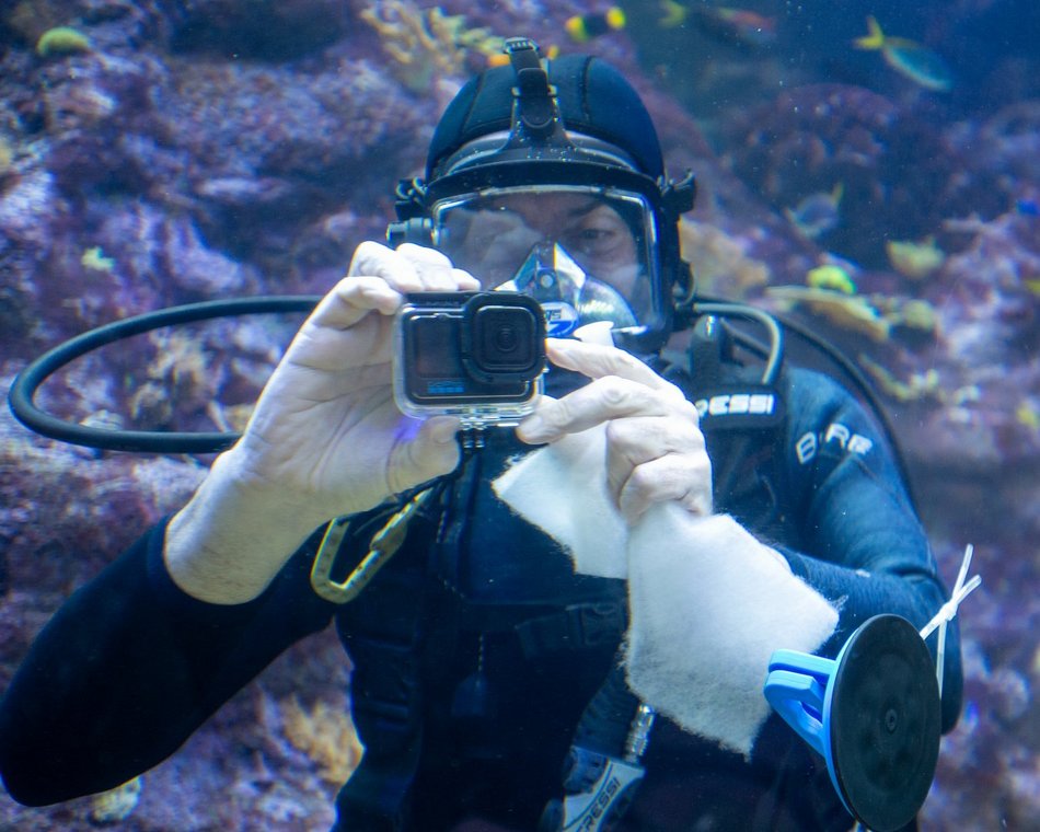 Łódź. Orientarium Zoo Łódź z kolejną wielką atrakcją. Wpadnij na środy z nurkowaniem!