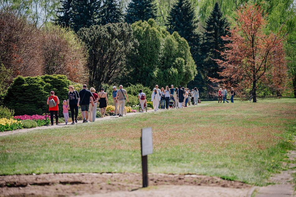 Łódź. Ogród Botaniczny w Łodzi w wiosennej odsłonie