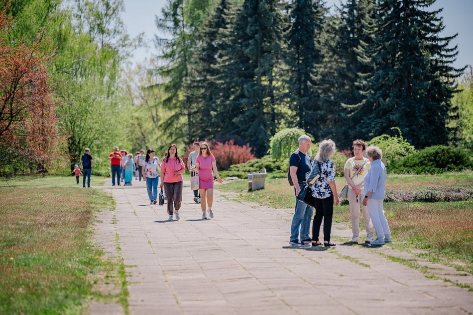 Łódź. Ogród Botaniczny w Łodzi w wiosennej odsłonie