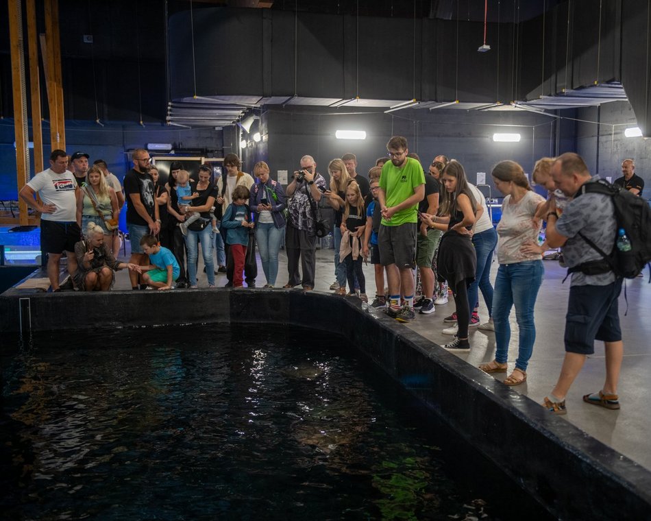 601. Urodziny Łodzi w Orientarium Zoo Łódź