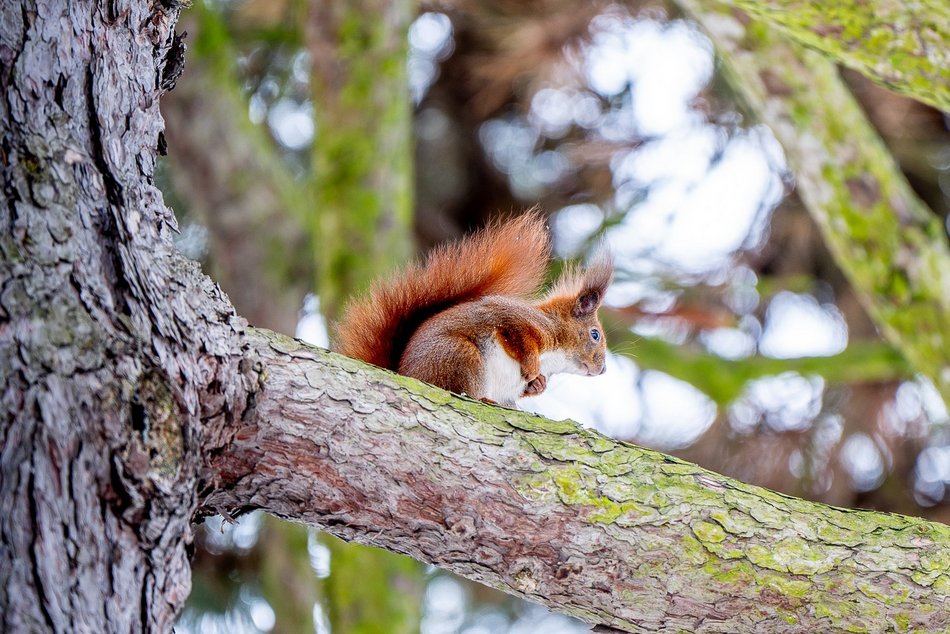 Park Poniatowskiego w zimowej szacie