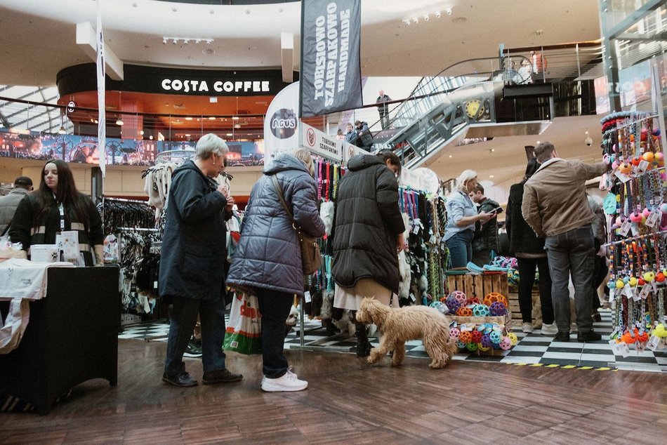 Łódź. Psi Targ w Manufakturze