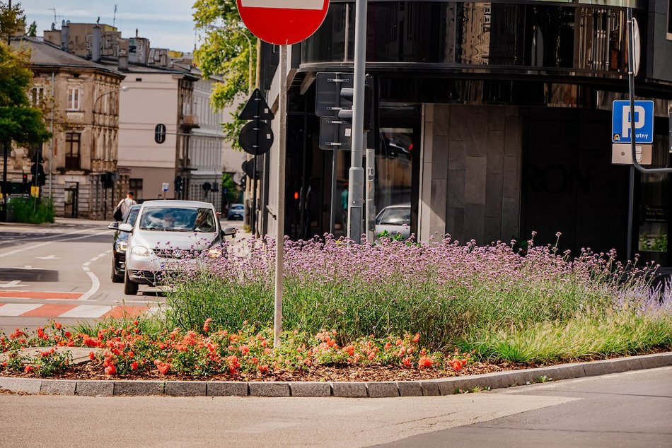 Łódź. Wrzesień w Łodzi potrafi zaskoczyć! Miasto wciąż tętni kolorami i zapachem kwiatów
