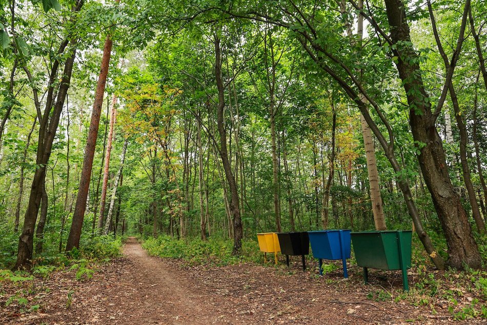 Łódź. Nowy park leśny w Łodzi! Mieszkańcy Dorabialskiej zyskali zieloną oazę!