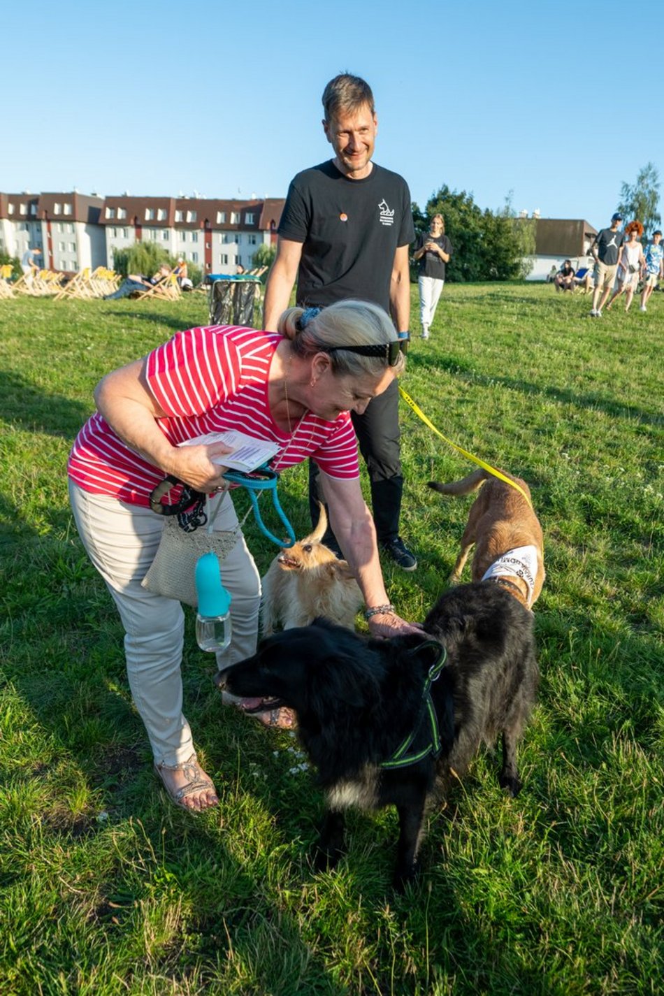 Łódź. Psia Polówka na Widzewskiej Górce. Psiaki przejęły dowodzenie!