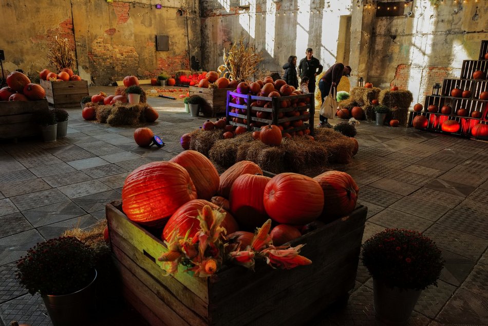 Farma Dyniowa w Fuzji. Poczuj klimat jesieni w centrum Łodzi!