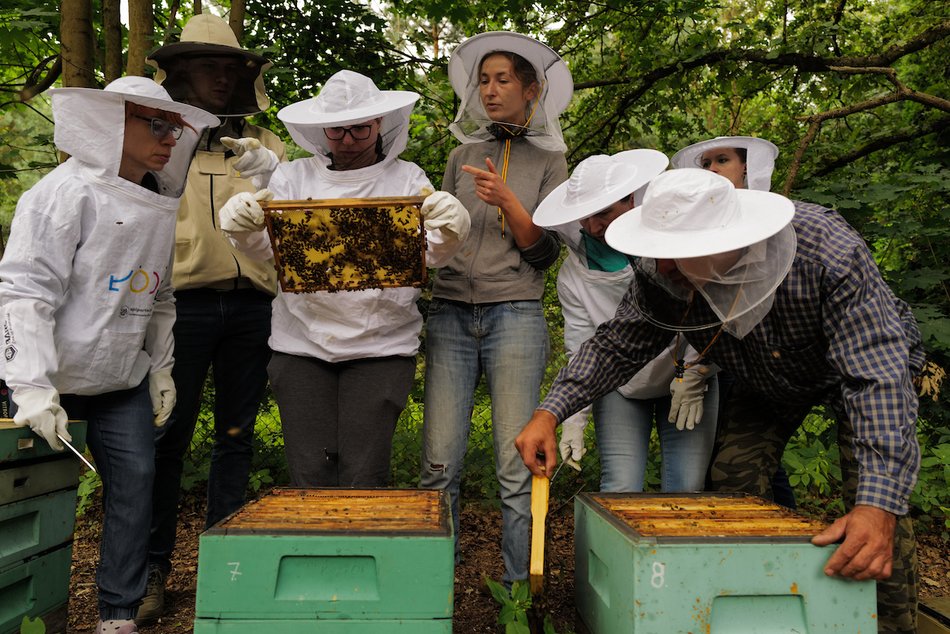 Łódź. Bez nich nie ma życia. Łódź dba o pszczoły nie tylko w Światowy Dzień Pszczół