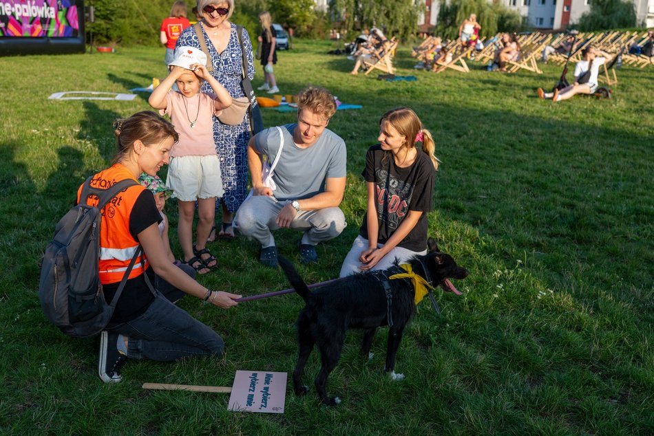 Łódź. Psia Polówka na Widzewskiej Górce. Psiaki przejęły dowodzenie!