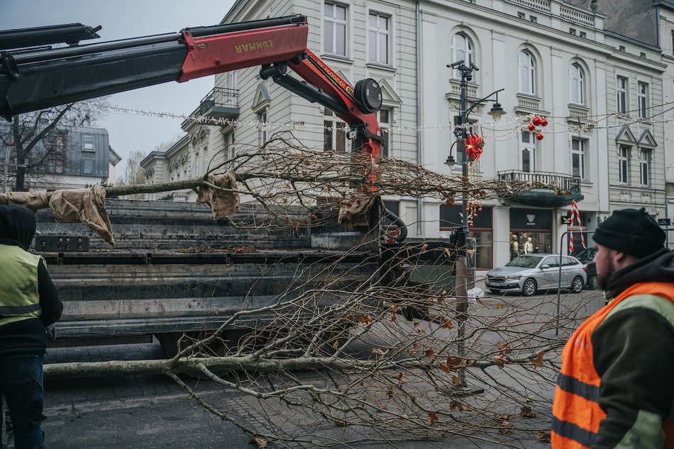 Łódź. Zielona metamorfoza Piotrkowskiej!