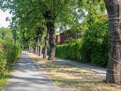 Droga rowerowa na Księżym Młynie