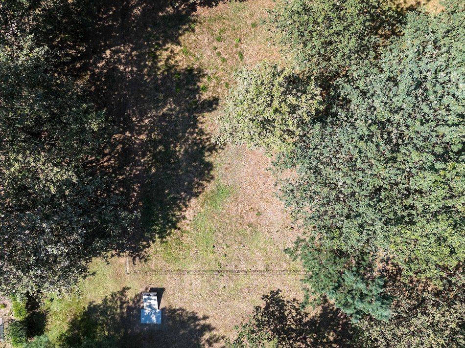 Łódź. Ekologiczne cmentarze w Łodzi. Z szacunkiem dla natury i pamięci