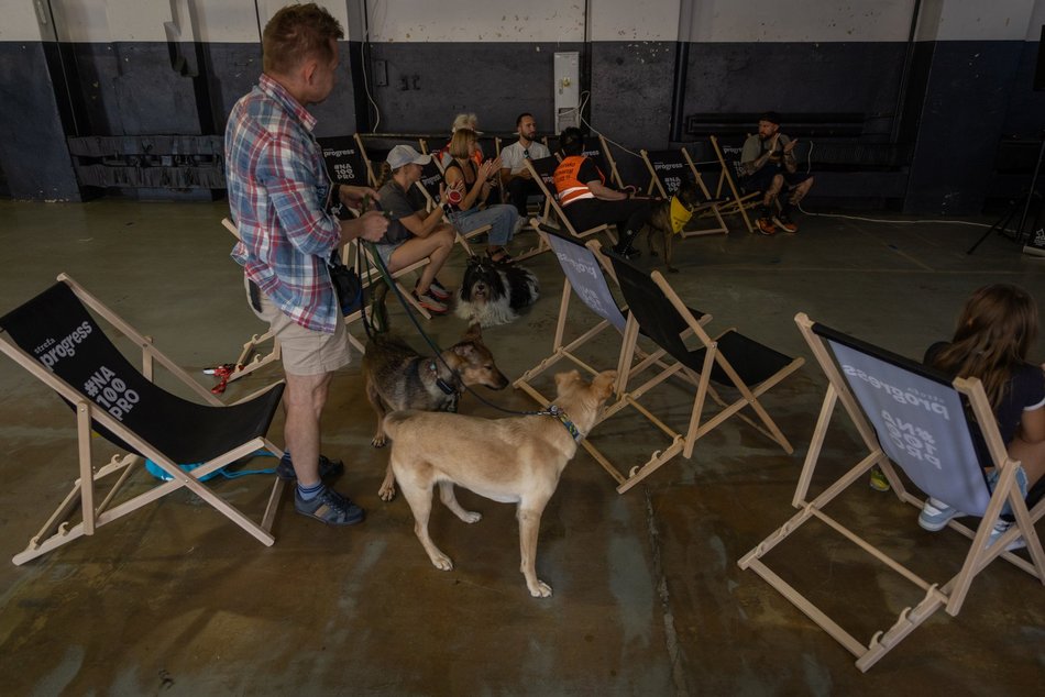 Łódź. Gastro dla schroniska w Łodzi. Tak się łączy miłość do jedzenia, muzyki i zwierząt!
