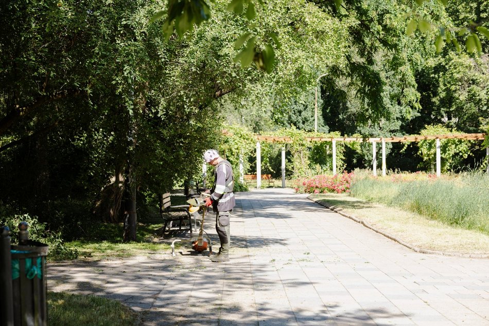 Łódź. Prace pielęgnacyjne w parku przy Leczniczej w Łodzi. Będzie ładniej i wygodniej!