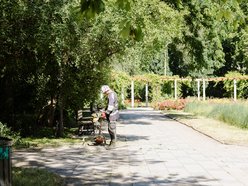 Łódź. Prace pielęgnacyjne w parku przy Leczniczej w Łodzi. Będzie ładniej i wygodniej!