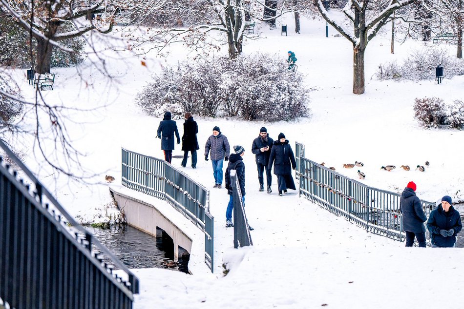 Park Helenów zimą