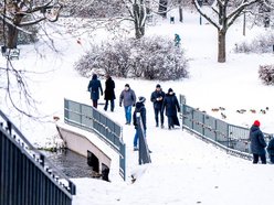 Park Helenów zimą