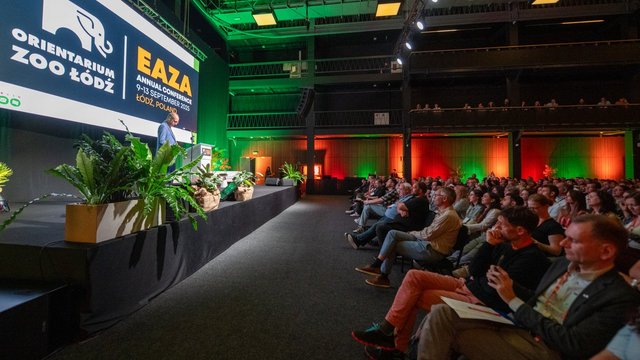 Łódź Meeting Fund. Zgarnij dofinansowanie od Łódzkiej Organizacji Turystycznej na swój event!