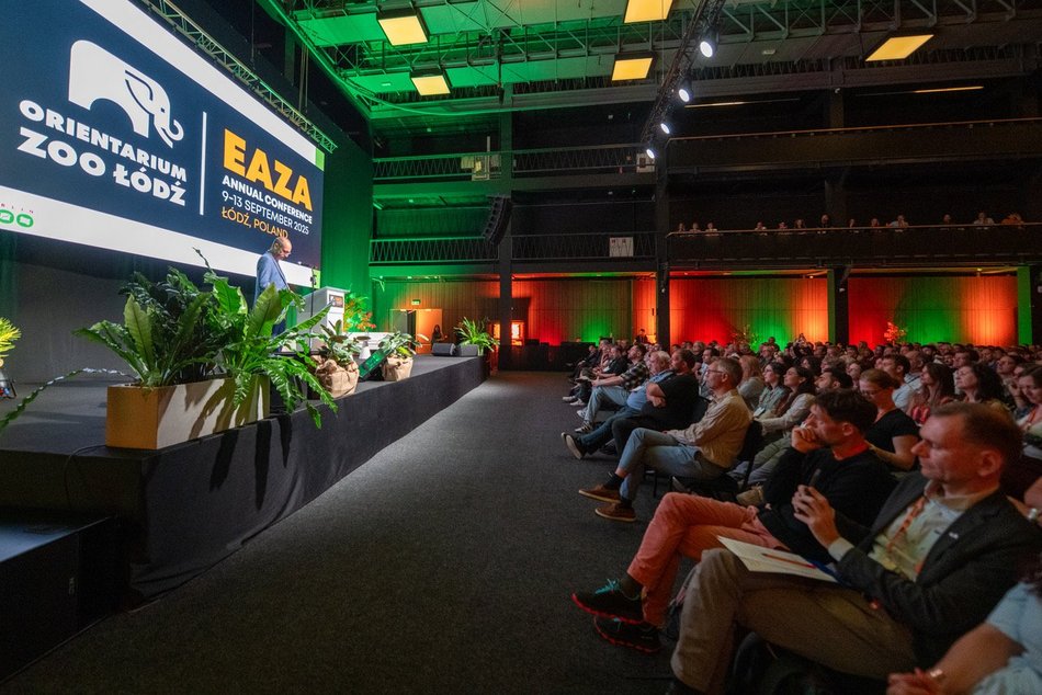 Łódź Meeting Fund. Zgarnij dofinansowanie od Łódzkiej Organizacji Turystycznej na swój event!