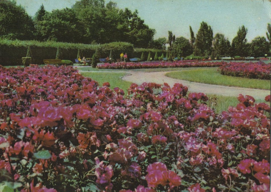 Łódź. Park Staszica na starych fotografiach