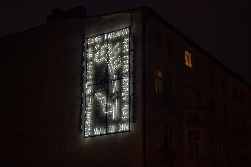 Neon Sztaudyngera – cykl życia rośliny