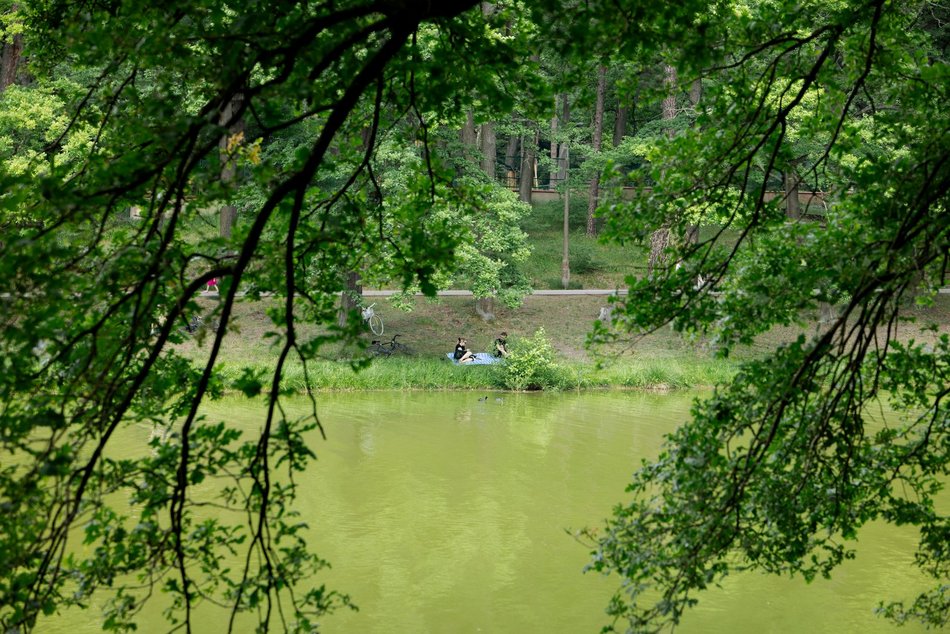 Łodź. Arturówek