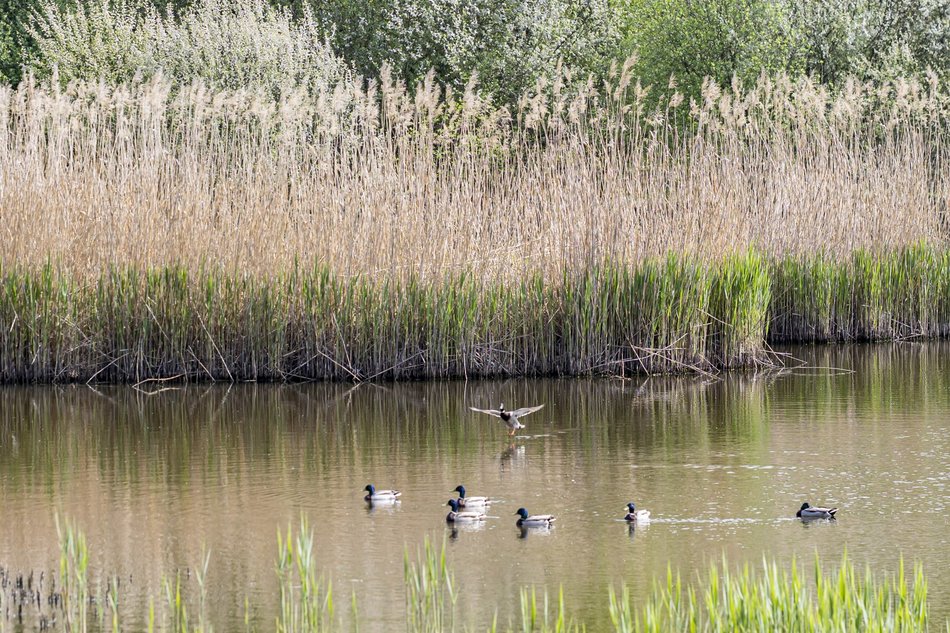 Łódź. Lublinek w Łodzi zmienia się nie do poznania. Właśnie powstało tam miejsce piknikowe