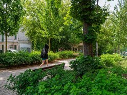 Wracamy na Mielczarskiego w Łodzi po remoncie. Ulica zachwyca zielenią i... spokojem!