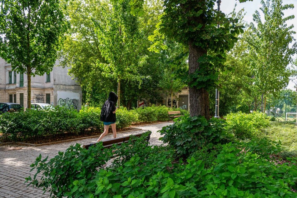 Wracamy na Mielczarskiego w Łodzi po remoncie. Ulica zachwyca zielenią i... spokojem!