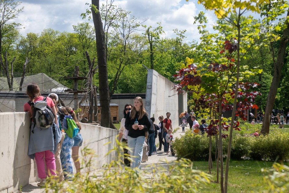 Łódź. Kwiecień w Orientarium Zoo Łódź. Nowe godziny otwarcia, darmowe zwiedzanie i więcej