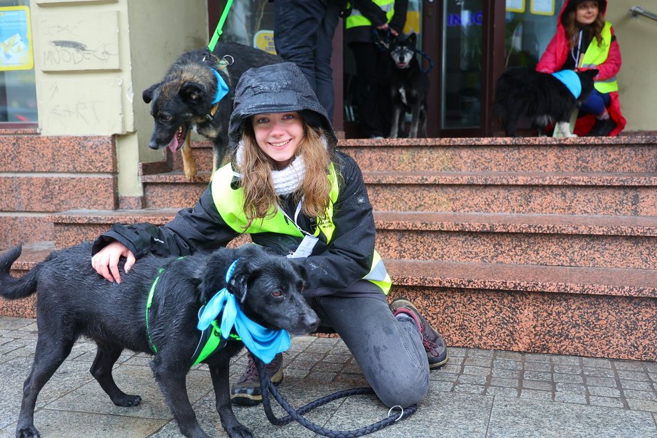 Parada kundelków w Łodzi 2025 przeszła ulicami. Skala słodyczy wysoka jak nigdy!